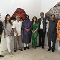 Eminent Painter Anita Goel’s Solo Show Avataran From 4th February