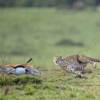 DCP Expeditions To Exhibit Its Grand Annual Photography Exhibition 2024 I @ Bombay Art Society